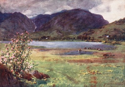 Região dos lagos: Little Langdale Tarn (litografia a cores) de Alfred Heaton Cooper