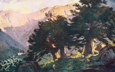 Região dos Lagos: Os teixos de Borrowdale, à noite (litografia a cores) de Alfred Heaton Cooper