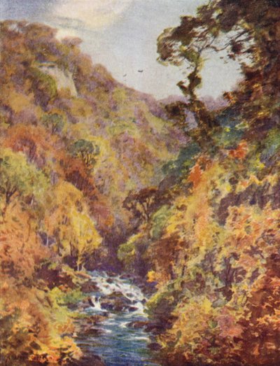 O Dargle, Condado de Wicklow de Alfred Heaton Cooper