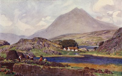 Seladores de gramados, Connemara de Alfred Heaton Cooper