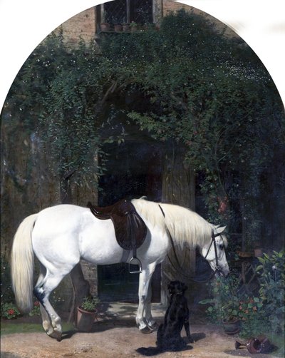 Cavalo branco e retriever de Alfred Hichens Corbould