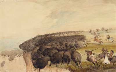 Condução de rebanhos de búfalos sobre um precipício, c.1837 (lápis, caneta e tinta e aguarela sobre papel) de Alfred Jacob Miller