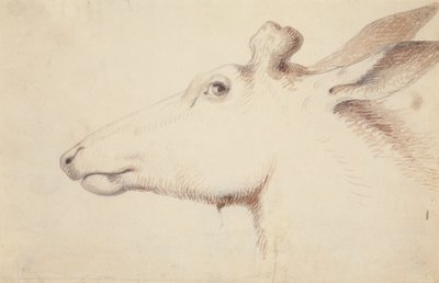 Alce. c.1837 (desenho) de Alfred Jacob Miller
