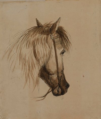 Cabeça de cavalo de Alfred Jacob Miller