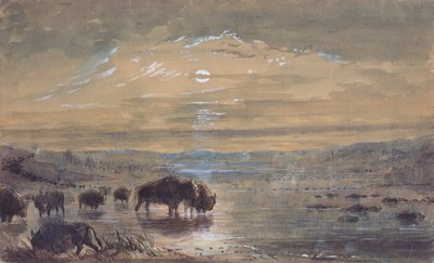 Cena Nocturna, Búfalos na Pradaria, c.1837 (aguarela sobre papel) de Alfred Jacob Miller