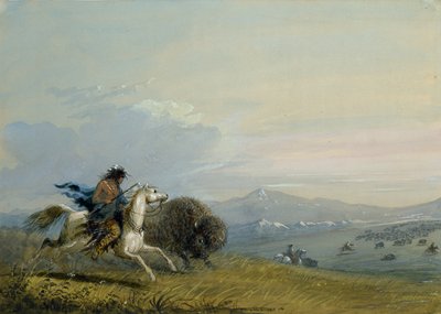 Búfalo a Correr dos Pawnee de Alfred Jacob Miller