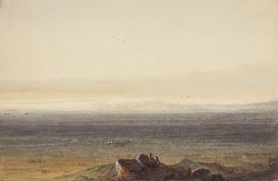 Prairie, c.1837 (lápis, aguarela e guache sobre papel) de Alfred Jacob Miller