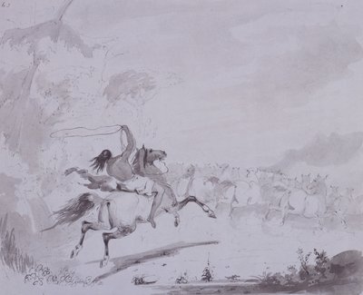 Throwing the Lasso, c.1837 (caneta e tinta com lavagem cinza em cartão cinza) de Alfred Jacob Miller