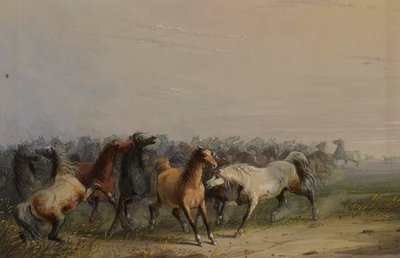  de Alfred Jacob Miller