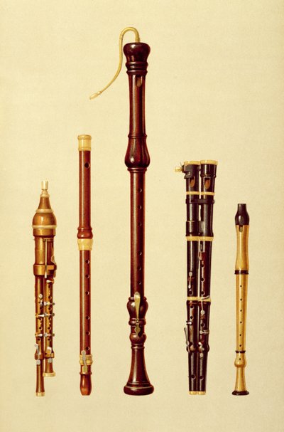 Um flageolet duplo, uma flauta alemã, um gravador de graves, um flageolet duplo e um gravador, de &39;Instrumentos Musicais&39; (litografia colorida) de Alfred James Hipkins