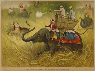 Edward, Príncipe de Gales, atirando em tigres em uma visita à Índia de Alfred Johnson