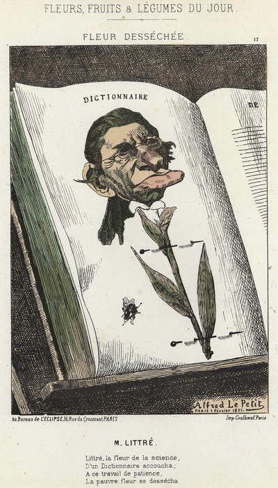 Déséchée flower: cartoon on Littré - ill. from 01/02/1871 in " Flores, Fruits and Vegetables of the Day" (Flores, Frutas e Legumes do Dia) de Alfred Le Petit