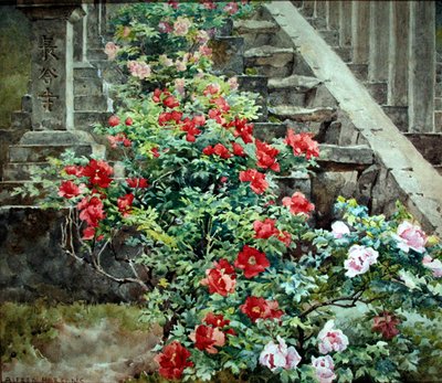 Peônias de árvores em Hase Dera - escadas para o Templo Kwannon, Japão (aquarela com cor de corpo sobre papel) de Alfred Parsons