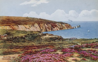 Baía de Alum, de Headon Hill, IOW de Alfred Robert Quinton