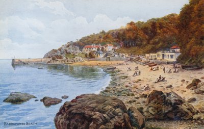 Praia Babbacombe de Alfred Robert Quinton