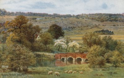 Ponte Boxhill, Dorking de Alfred Robert Quinton