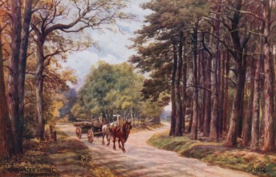 Broadwater Forest, Tunbridge Wells de Alfred Robert Quinton