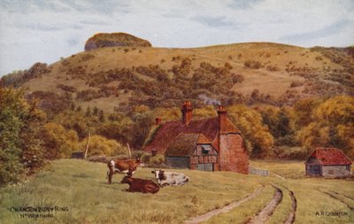 Anel de Chanctonbury, Worthing de Alfred Robert Quinton