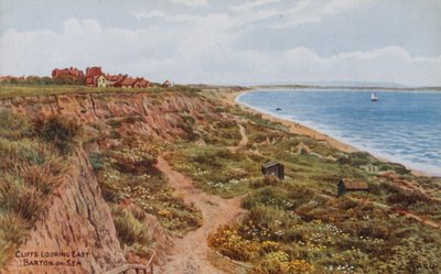 Cliffs, olhando para o leste, Barton-on-Sea de Alfred Robert Quinton