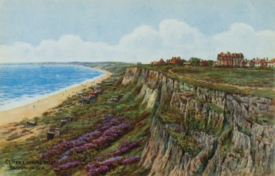 Cliffs, olhando para o oeste, Barton-on-Sea de Alfred Robert Quinton