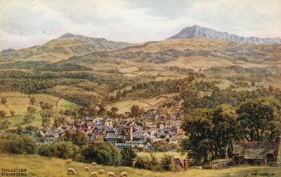Dolgelley e Cader Idris de Alfred Robert Quinton
