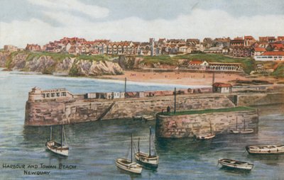 Porto e praia de Towan, Newquay de Alfred Robert Quinton