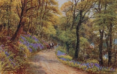 Hobby Drive, Clovelly (cor litho) de Alfred Robert Quinton