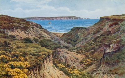 Isle of Wight, de Becton Bunny, Barton-on-Sea (litografia a cores) de Alfred Robert Quinton