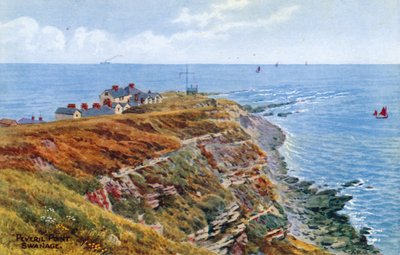 Ponto de Peveril, Swanage de Alfred Robert Quinton
