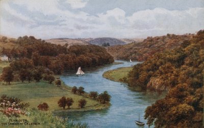 Plymouth, o Tamar na Calstock de Alfred Robert Quinton
