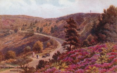 Pedra de marinheiro e Gibbet Hill, Hindhead de Alfred Robert Quinton