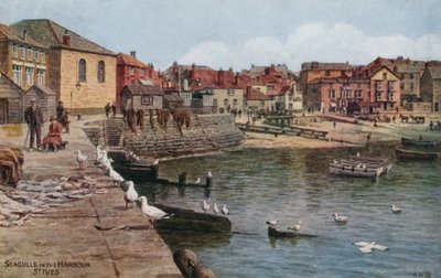 Gaivotas no porto, St Ives, Cornwall de Alfred Robert Quinton