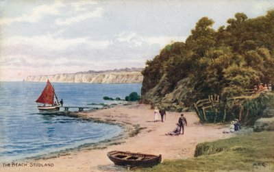 A praia, Studland de Alfred Robert Quinton