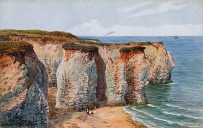 Os penhascos, Birchington-on-Sea de Alfred Robert Quinton
