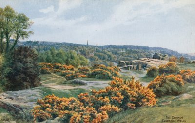 O Comum, Tunbridge Wells de Alfred Robert Quinton