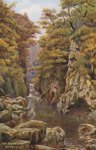 The Fairy Glen, Bettws-Y-Coed (litografia a cores) de Alfred Robert Quinton