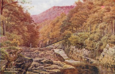 The Miners Bridge, Bettws-Y-Coed (litografia a cores) de Alfred Robert Quinton