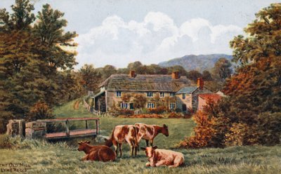 O moinho velho, Lyme Regis de Alfred Robert Quinton