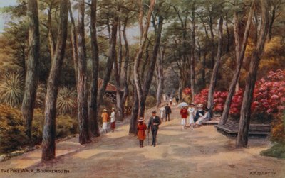 A caminhada do pinho, Bornemouth de Alfred Robert Quinton