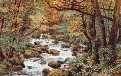 Torrent Walk, Dolgelley de Alfred Robert Quinton