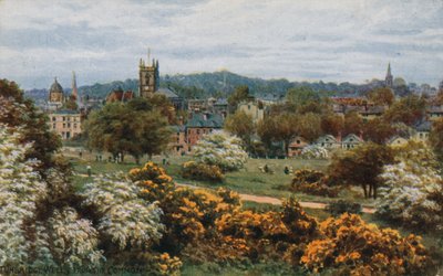 Tunbridge Wells de The Common de Alfred Robert Quinton