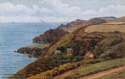 Baía de Woody, de Martinhoe Common de Alfred Robert Quinton
