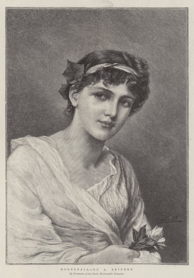Hortênsia de Alfred Seifert