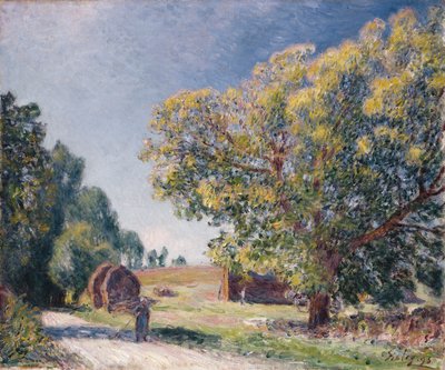 Uma clareira em uma floresta, 1895 de Alfred Sisley
