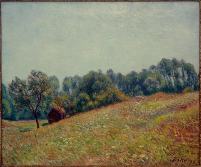 O Vallon de Alfred Sisley