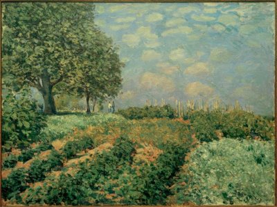 Fields de Alfred Sisley