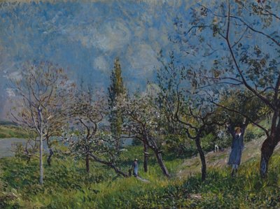 Pomar na primavera de Alfred Sisley