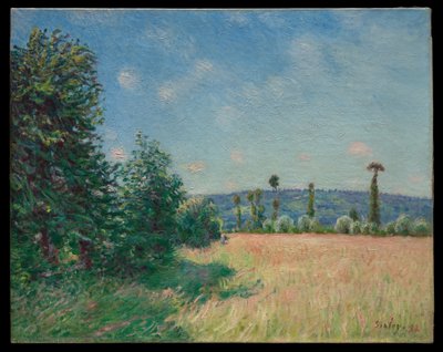 Os prados de Sahurs ao sol da manhã de Alfred Sisley