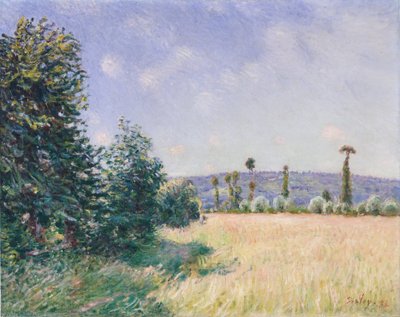 Sahurs Meadows no sol da manhã, 1894. de Alfred Sisley