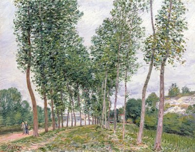 A Avenida dos Choupos ao longo das margens do Loing de Alfred Sisley